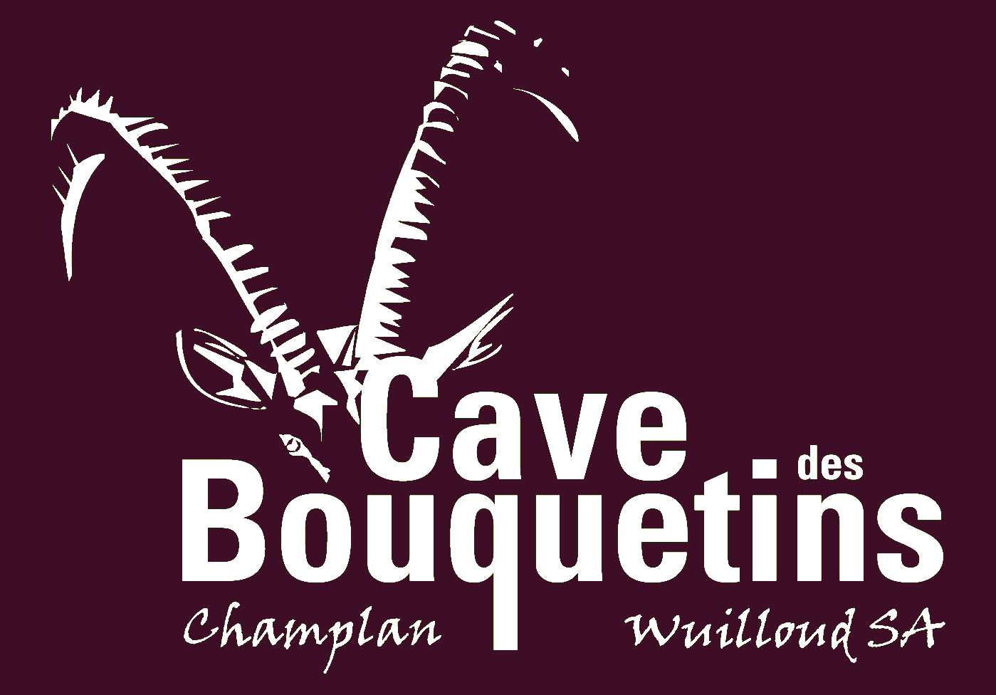 Cave des Bouquetins
